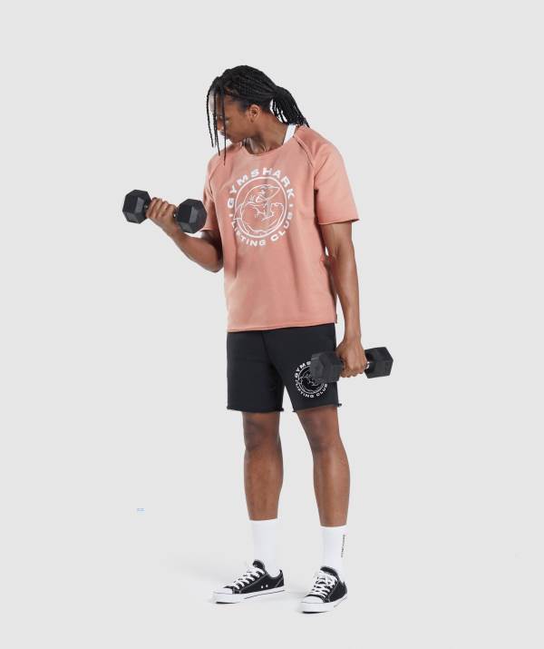 Panske Tricka Gymshark Legacy Rag Top Ruzove | GS4891632
